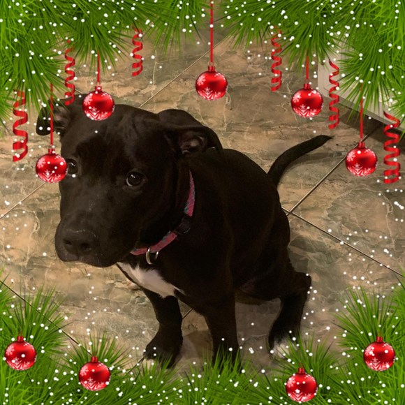 Profile Picture of Nickollette Nickoletta (@nmwofford) on Poshmark