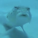 Profile Picture of Caleb Harbidge (@calebharbidge) on Instagram