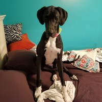Profile Picture of Hanna Fowler (@hanna-fowler-5) on Quora