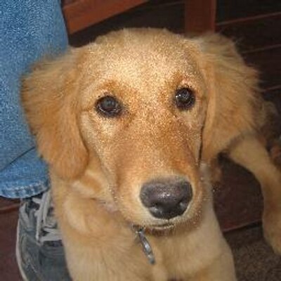 Profile Picture of Rita Shawn (@r_rshawn) on Twitter