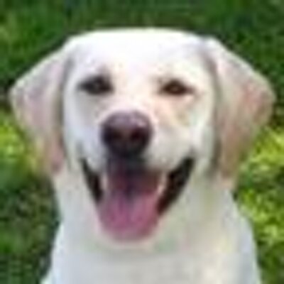 Cheyenne Blake - Twitter Profile Picture of Cheyenne Blake (@jillcheyenne) on Twitter