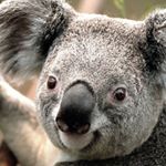 Profile Picture of Richard Tidd (@richtidd) on Instagram