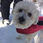 Profile Picture of Beth Hirt (@bethahirt) on Instagram