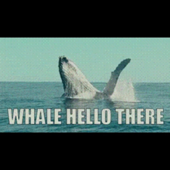 Profile Picture of Brianna Mcintire (@bri1978) on Poshmark