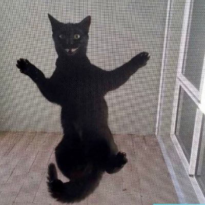 Profile Picture of Pat Byrnes (@PBinninger) on Twitter