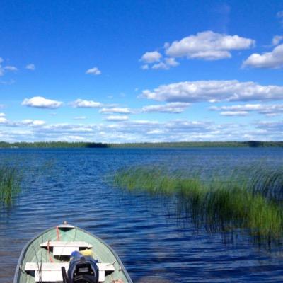Profile Picture of David Furmanon Twitter