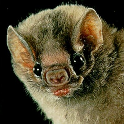 Profile Picture of Evan Harder (@whateverrandom) on Twitter
