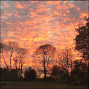 Sara Mathieu - Youtube Profile Picture of Sara Mathieu (@saramathieu8370) on Youtube