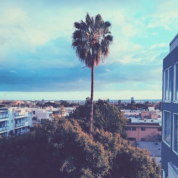 Profile Picture of Brynne Bytnar (@brynnebytnar) on Poshmark