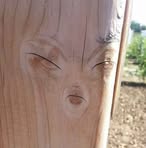 Profile Picture of Scott Sauve (@scott.sauve.351) on Facebook