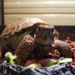 Profile Picture of Harold (@harold_clark_reyes) on Instagram