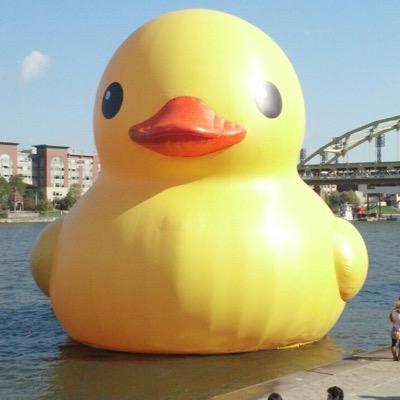 Profile Picture of Paul Feiling (@WPXIpaul) on Twitter