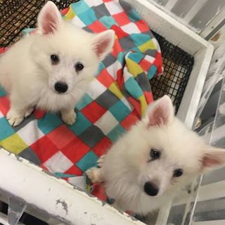 Briley Robinson - Facebook Profile Picture of Briley Robinson (@Briley-Robinson) on Facebook