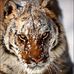 Profile Picture of David Pruden (@david.pruden.165) on Facebook
