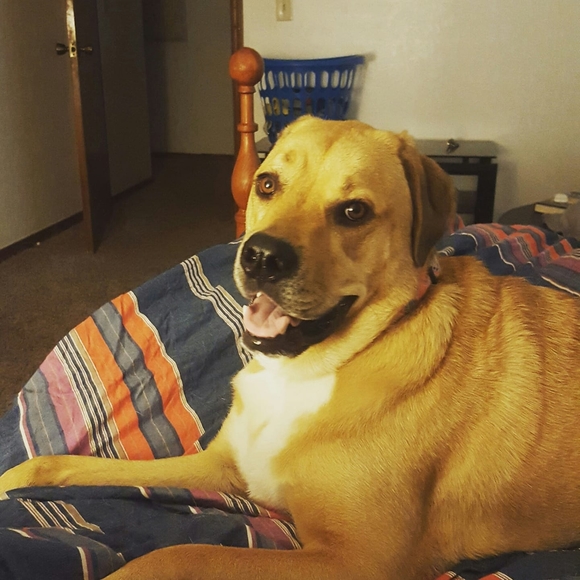 Profile Picture of Bryant Gray (@bryantg65) on Poshmark