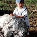Profile Picture of Diane Blevins (@blevins3196) on Pinterest
