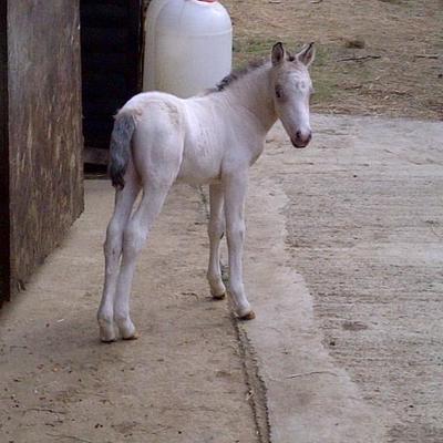 Profile Picture of Patricia Alderman (@pat_Ald) on Twitter