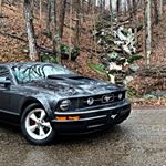 Profile Picture of Wyatt Evans (@5th_gen_mustangs) on Instagram