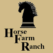 Profile Picture of Lisa Armstrong (@lisaarmstrong-gz8sp) on Youtube