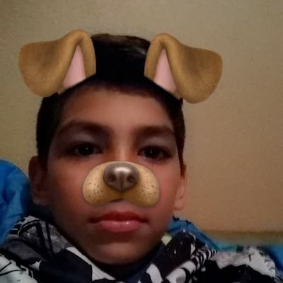 Profile Picture of Andrew Palomo (@AndrewPalomo11) on Twitter