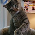 Profile Picture of Tom Leonard (@tomleonard326) on Instagram