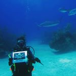 Profile Picture of Lisa Wiggins Patterson (@oceanboundstreasures) on Instagram