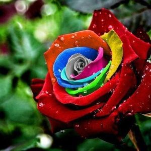 Profile Picture of Rajbir Singh (@rajbir.singh86) on Myspace
