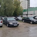 Profile Picture of Henryk Wąsik (@Henryk-Wąsik) on Facebook