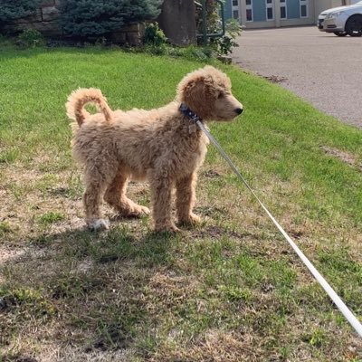 Profile Picture of Omar Zavaleta (@zavaleta_omar) on Twitter