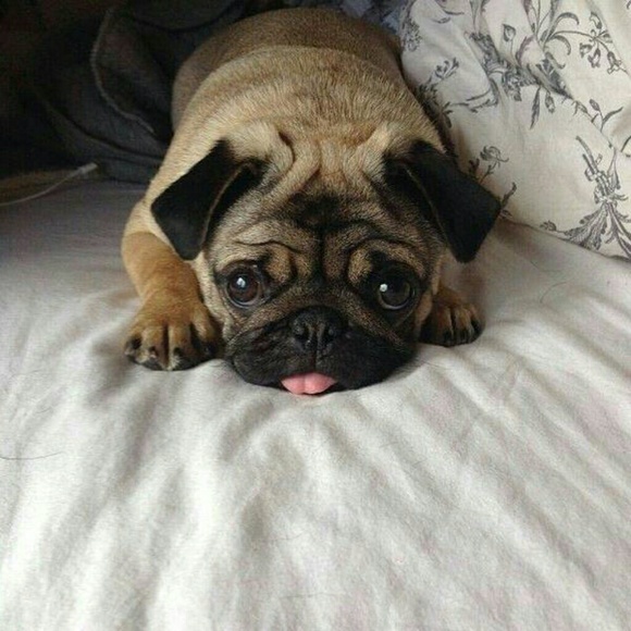 Profile Picture of Surendra Kumar (@surendrakumar38) on Poshmark