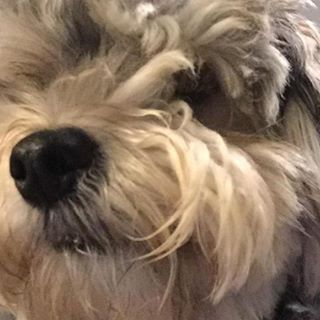 Profile Picture of Buddy McConnell (@buddy.mcconnell.7) on Facebook