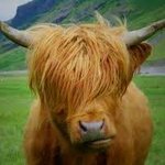 Profile Picture of Randy Aamot (@randyaamot73dc) on Instagram