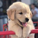 Profile Picture of 최호림 (@rim.__.3967) on Instagram