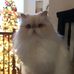 Profile Picture of Bert Pruitt (@bert.pruitt.942) on Facebook