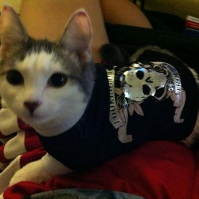 Bohan Zhang - Twitter Profile Picture of Bohan Zhang (@bohan0106) on Twitter