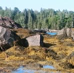 Profile Picture of Paul Valeri (@paul.valeri.37) on Facebook