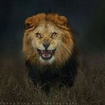 Profile Picture of César Menchaca (@cesar_menchaca) on Instagram