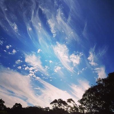 Profile Picture of Tanspix (@TanyiaMaxted) on Twitter