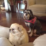 Profile Picture of Diana Vanderpool (@diana.vanderpool.372464) on Facebook