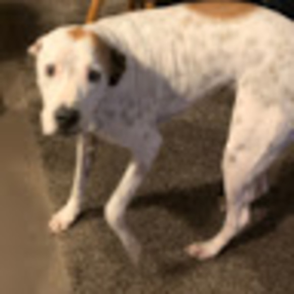 Drew Wiseman - Poshmark Profile Picture of Drew Wiseman (@drewwiseman537) on Poshmark