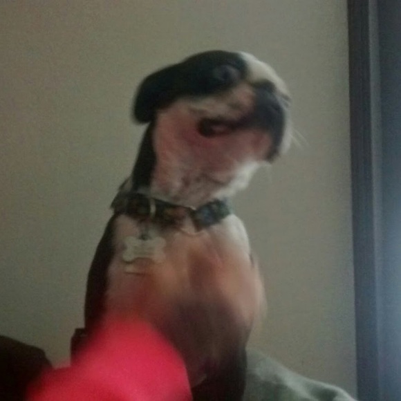 Profile Picture of Aleah Hoiland (@aleahnicole9) on Poshmark