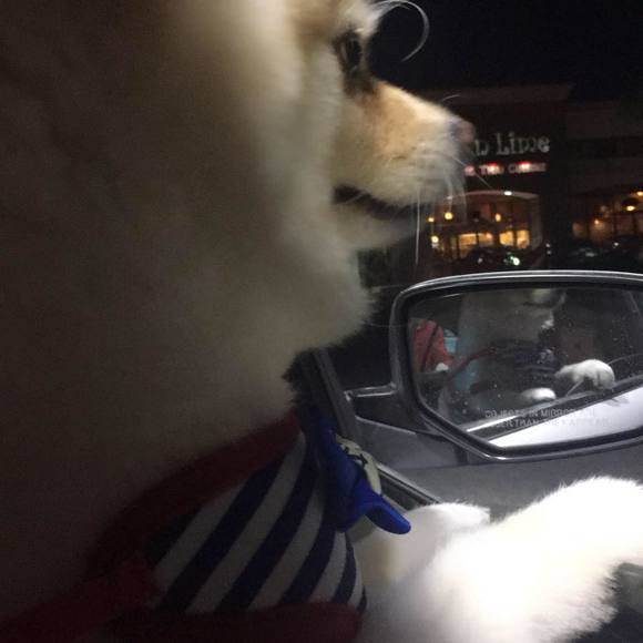 Profile Picture of Dan Liu (@vvshopvv) on Poshmark