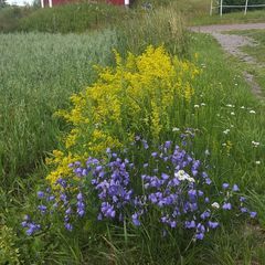 Profile Picture of brittmolander (@brittmolander) on Tiktok