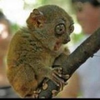 Profile Picture of Matthew Holt (@matthew-holt-7) on Quora