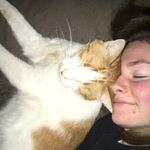 Profile Picture of Milo And Shelby Hansen (@miloandhercatshelby) on Instagram