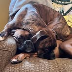 Profile Picture of Jeff Zenner (@jeff.zenner.5) on Facebook