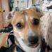 Profile Picture of Elvi Mahnkopf (@elvi.mahnkopf.7) on Facebook