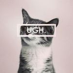 Profile Picture of mary dickey (@dickey_mary) on Instagram