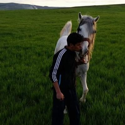 Profile Picture of Rabia Mohammed Nadjib (@34nadjibo) on Twitter
