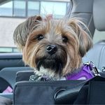 Profile Picture of Alexandra Beth Glazer (@aglazer73) on Instagram